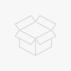 เหรียญหลวงพ่อทวดหลวงปู่ทิม วัดช้างให้ (SKU-02079)